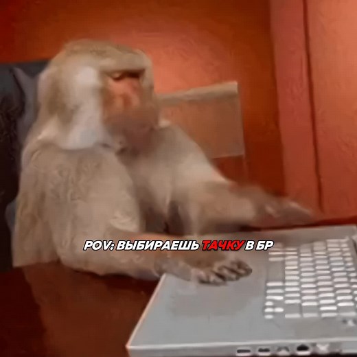 Приора в Черноморском Русском ГТА