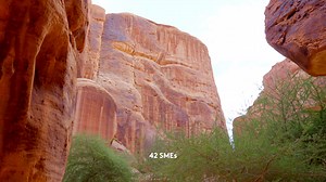 How did the Vibes AlUla Enablement Program digitize and support the growth of SMEs in AlUla? Today, AlUla has become a vibrant business hub, with local SMEs bridging the gap between this historic oasis and the world. Over the 3 cohorts of the program, the 42 SMEs have grown and scaled across a spectrum of various industries, including Media and Entertainment, Sports, and Tourism. These entrepreneurs have become role models for future generations of business pioneers in AlUla. Find out more about