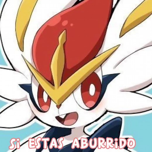 Team Multipan! on TikTok