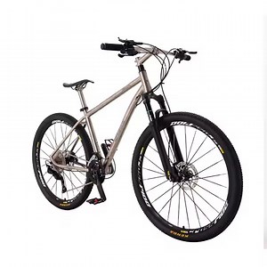 27.5 Inch Double Disc Titanium Mountain Bike