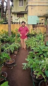 18K views · 256 reactions | Healthy roots = Healthy plants  Our Humic Acid improves soil structure, boosts nutrient absorption, and promotes faster plant growth naturally. Perfect for home gardens, terrace gardens & landscapes.  Available now at www.gardenpro.co.in  Gardenpro Chennai #HumicAcid #PlantGrowth #HealthySoil | Gardenpro chennai landscape | Facebook