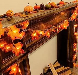 Fall String Lights- 20 Ft 40 LEDs Christmas Decorations String Lights Outdoor Fall Decorations Battery Operated Christmas Deco