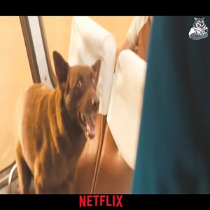 TOP MOVIE NETFLIX TODAY 2024 | Syfu