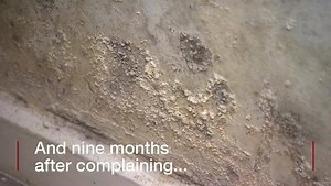 1.8K views | A Cornwall couple say their health has been affected...