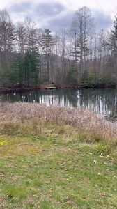 When a dog becomes aroused, it can be really difficult for them to make good decisions, so it’s important that we learn how to work with them during these moments.Some of the ways we can work through arousal is making sure we provide our dogs with mental stimulation, physical exercise, and training. It’s important we incooperate impulse control activities into our dog’s training. But one of the most important things that we can do for our dogs that become easily aroused is to give them outlets t