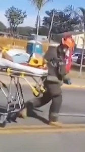 Get your garden game strong with our top-notch peat-free enriched topsoil! 🌱🌿 Perfect for all your planting needs, from flower beds to general border use. Say hello to lush lawns and thriving plants! Available now at https://www.milkandmore.co.uk/Household/Durstons-Enriched-Top-Soil,-20L/p/72806 #GardenGoals #MilkAndMore #Gardening #Soil #Milkman | Milk & More