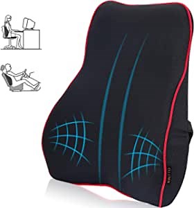 Back Cushion – Lumbar Support Pillow – Orthopedic Back Rest – Back Support Pillow for Office Chair Car and Wheelchair – Versatile Lumbar Support Cushion – Breathable, Memory Foam Orthopedic Pillow