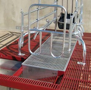 [Hot Item] Poultry Equipment Farrowing Pen   Nursery Pen Integrated for Pigs
