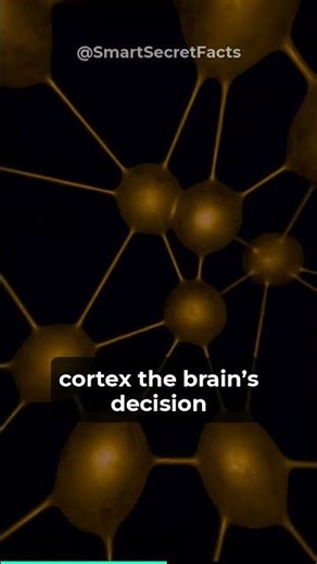 Arousal Starts in Your BRAIN (Not Body) – 2020 UCLA Study