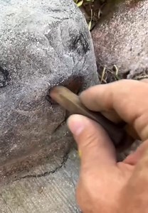 Street painting art | Brilliant DIY