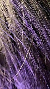 2.5M views · 10K reactions | Mile tumse bichad ke hum 殺 #hindi #reels #reelsinstagram #reelitfeelit #reelsindia | Km Astha | Facebook