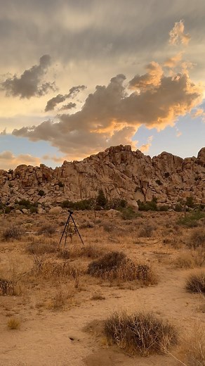 18 reactions · 3 comments | Chasing monsoon light in Joshua Tree #joshuatree #joshuatreenationalpark #monsoon #monsoonseason #stormchasing #stormclouds #mojave #mojavedesert #hidesert | Henry Jun Wah Lee / Evosia Studios | Facebook