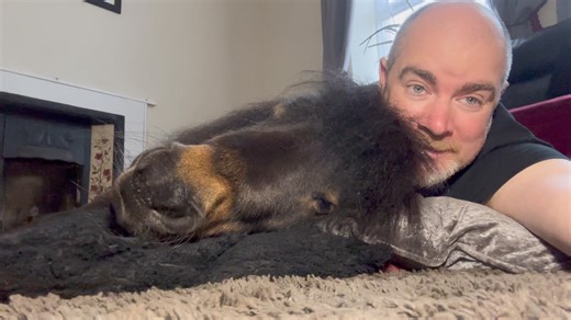 29K views · 2.7K reactions | I am just a Man snuggling up to my pony ❤️ | The Adventures Of Patrick The Pony | Facebook