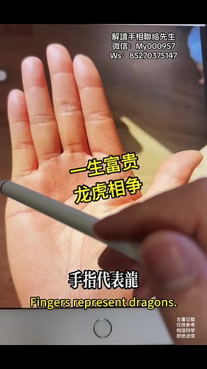 prophet palmistry on TikTok