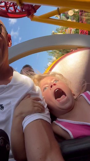 Funny Roller Coaster Videos Compilation