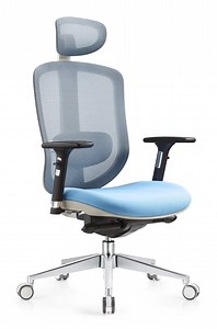 [Hot Item] Ergonomic Mesh Office Chair with Adjustable Back Support