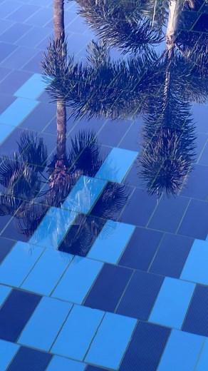 Blissful morning at Columbia Beach Resort ☀️🌴 #columbiabeachresort #pissouribay #luxury #holiday #cyprus #lovecyprus #visitcyprus | Columbia Beach Resort