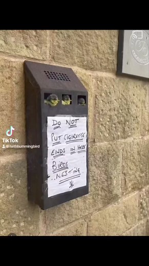 Classic 🤣 is funny how often you find blue tits nesting in cigarette bins. | Get Wild