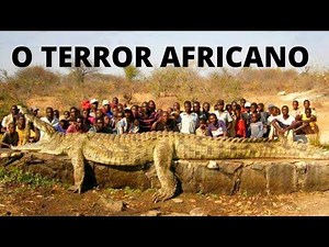 GUSTAVE – O CROCODILO AFRICANO GIGANTE PREDADOR DE PESSOAS! UMA HISTÓRIA REAL!