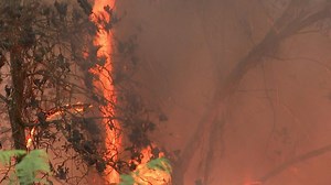 As they struggle to contain two fires which have burnt over 2,800 hectares of forest in Gironde, in the southwest of France, firefighters worry there is worse to come. | AFP News Agency