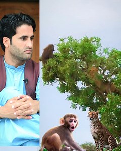 Leopard & Monkey Don't Miss The End 😱 | Mardan Prank