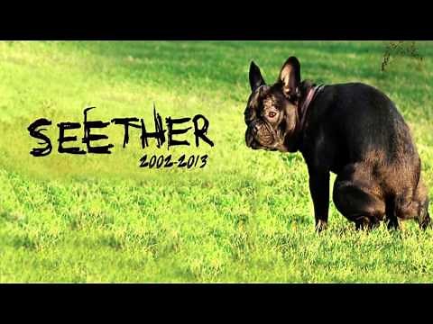 seether - weak subtitulado/Lyric