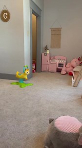 Charlie is just like a super miniature adult 😂 I’m so proud of how well she’s learning her manners. Her little “you’ #family. #dad #.mom #oman #.baby. #mom #love #muscat #life #instagram #fun #smile #instagood #happy #babygirl #father #fam #superhero #discovery #children #muscati #daughtherlove #son #bro #daddy | Carmen McClure