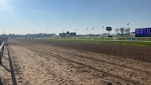 Tarifa completes the G2 Rachel Alexandra/G2 Fair Grounds Oaks double! | FanDuel Racing | Facebook