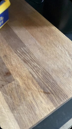 I love her#lindor #dachshund | David Penny