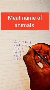 Animals and their meat names | Tutor Precious