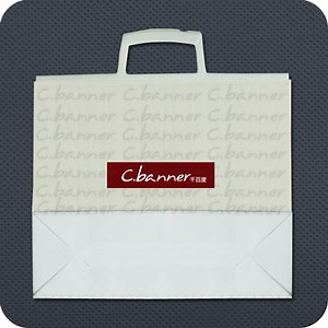 [Hot Item] Luxury Retail Plastic Shopping Bag with Rigid Handle