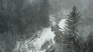 Heavy Snow Storm Blizzard Forest Snowflakes Stock Footage Video (100% Royalty-free) 3465232713 | Shutterstock