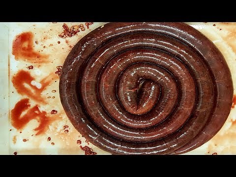 How Its Made: Black Pudding. How To Make Black Pudding/Blood Sausage. #SRP #Blackpudding