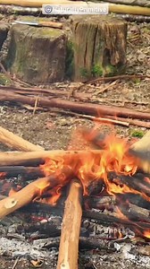Building a Fireplace Shelter 🔥 Bushcraft Cooking Shelter #bushcraft #survival #camping #shelter #offgrid #wildlife #nature #wilderness #outdoorcooking #bonfire #bushcraft #naturallyprimitive | Bonfire 2.0