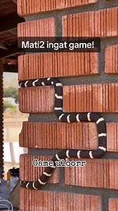 game nokia 7710 | Sambal Tumis