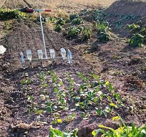 [Hot Item] Multi-Rows Manual Hand Push Small Vegetable Carrot Onion Seed Planter Push Seeder
