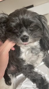 Linus just woke from a nap. | Seth Andrews