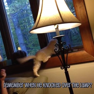 2M views · 4.5K reactions | So graceful.  | Totally Exposed | Facebook