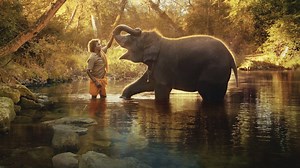 Oscars 2023: 'The Elephant Whisperers' roars at 95th Academy Awards, wins Best Documentary Short Film | The Economic Times