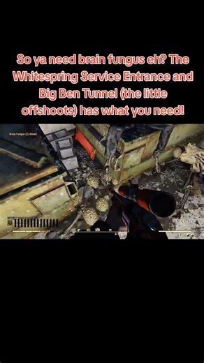 Fallout 76-Brain Fungus location #cubey #fallout76 #fallout #fo76 #fungus