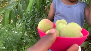 We went shopping for sabbath Breakfast as Adam did with his beautiful wife Eve.We will go to worship with blessed organic food, not the food that gives gases because of high urea and nitrogen, it causes gases. | Radical Farmer - Organic Farm7