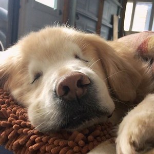 Can it be Sunday everyday? #sunday | Smiley