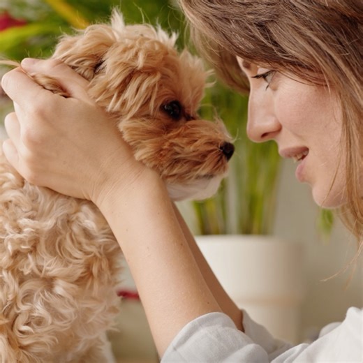 At ERA, we understand that finding the perfect home is about more than just a place to live—it’s about creating a space for the moments that matter. With our dedicated team and innovative programs, we make the journey of moving seamless and enjoyable. So, whether it’s for your new furry friend or any other reason, there’s no better choice than ERA when you’re ready to move up. #ERAMoveUp | ERA Real Estate