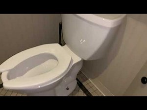 🚽 Bathroom Tour: Pro Flo Urinal and American Standard toilet at Food for Thought Williamsburg VA
