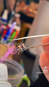 2.1K views · 115 reactions | Hungry hungry selas 殺 While feeding,...