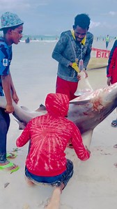 Cada Cune ciyara dhele #ShareLikeFollow | Deeq Xasan