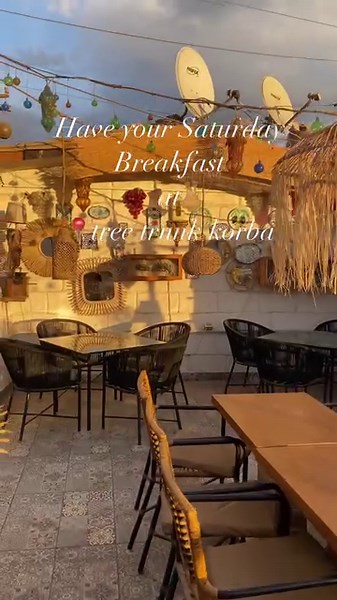 13K views · 51 reactions | Your saturday breakfast at @treetrunk_korbaview | Tree Trunk | Facebook