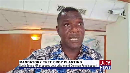 Mandatory Tree Crop Planting: South Tongu MP proposes both private and Common Fund support for proposed compulsory tree crop planting, hails move as means for job creation. #JoyNews | Joy 99.7 FM