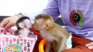 Woohoo!! Princess Sara closing eye softly kissing her younger sister Laura so sweetest | Monkey Daily