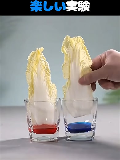 不思議なおうちで学ぶ楽しい実験7つ